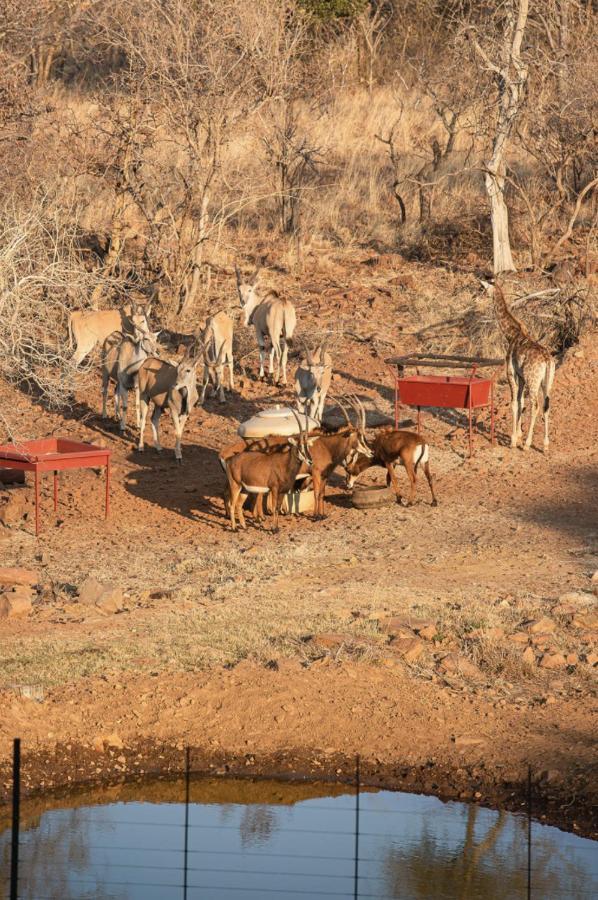 Villa Tholo Manzi Private Game Farm Zeerust Exterior foto