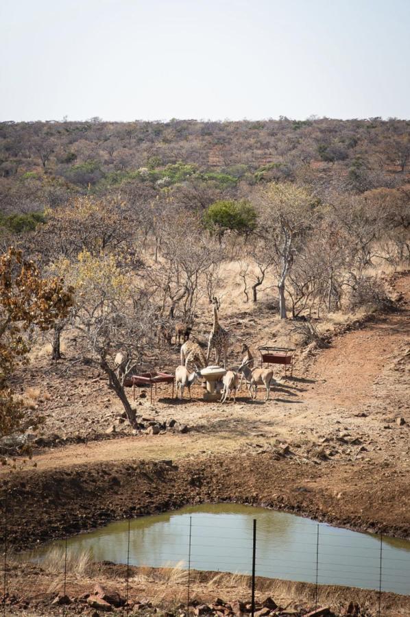 Villa Tholo Manzi Private Game Farm Zeerust Exterior foto