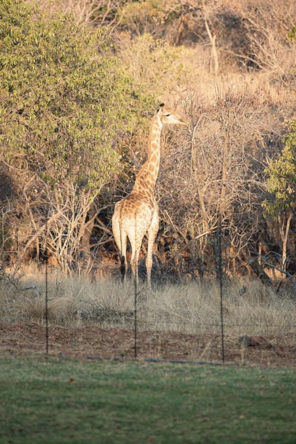 Villa Tholo Manzi Private Game Farm Zeerust Exterior foto