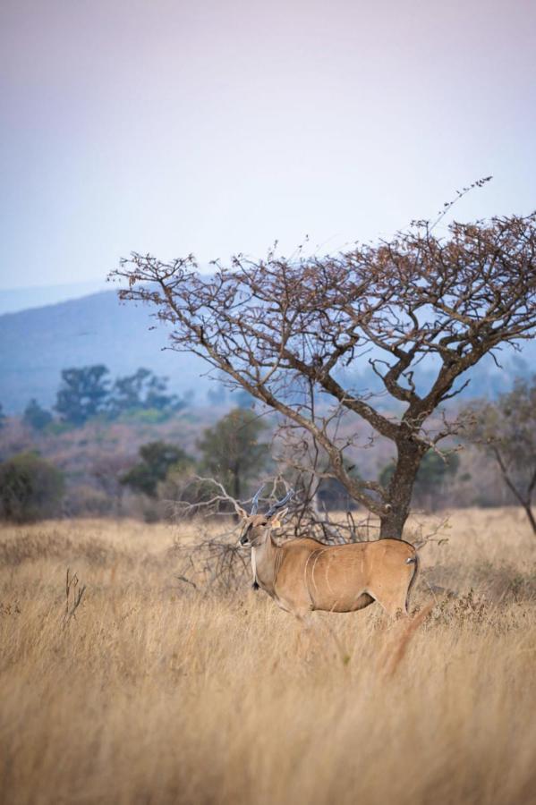 Villa Tholo Manzi Private Game Farm Zeerust Exterior foto